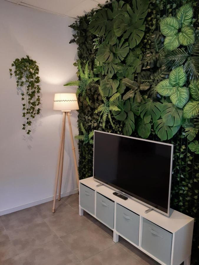 Tropical Garden Apartment アリカンテ エクステリア 写真