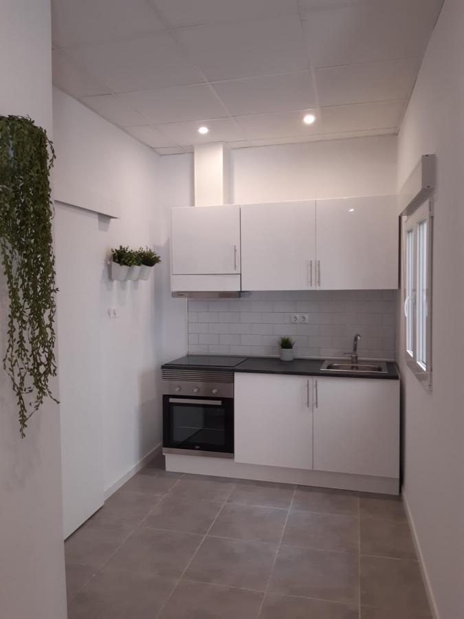 Tropical Garden Apartment アリカンテ エクステリア 写真